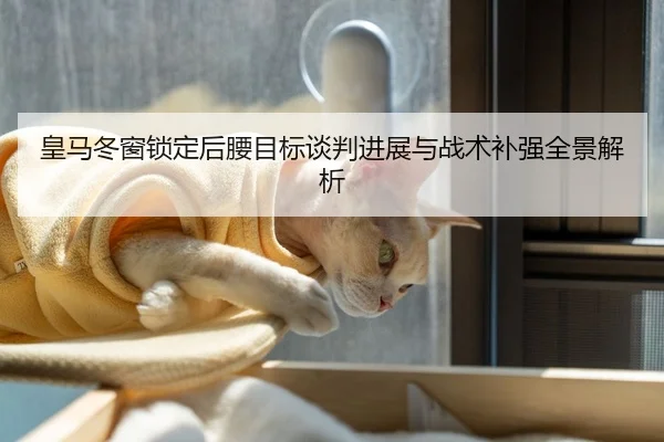 皇马冬窗锁定后腰目标谈判进展与战术补强全景解析